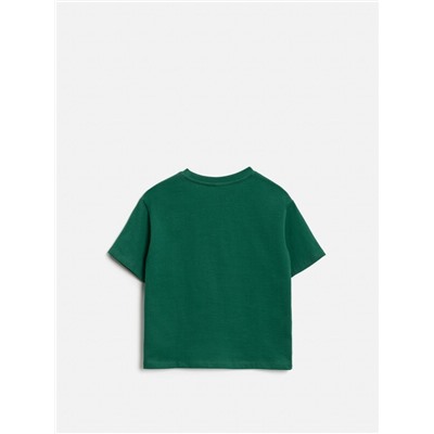 Футболка детская для мальчиков Galathil