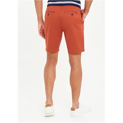 Slim Fit Stretch Chino Shorts