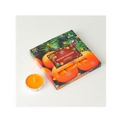 Набор свечей ароматических чайных «Зимний мандарин», 10 г, 9 шт.