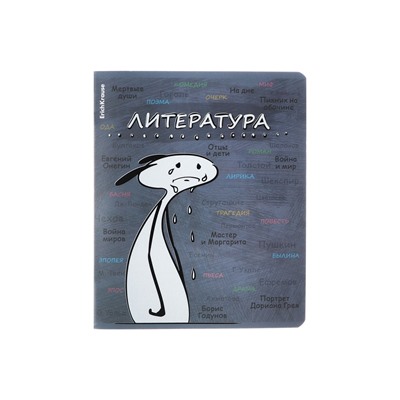 Тетрадь предметная 48 листов в линейку, ErichKrause «Чубрик. Литература», пластиковая обложка