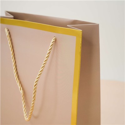 Пакет подарочный (S) «Classic line», light pink (24.5*19.5*9.5)