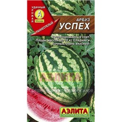 Арбуз Успех Аэлита