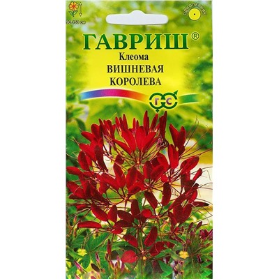 Семена Клеома Вишневая королева, арт.: 4728