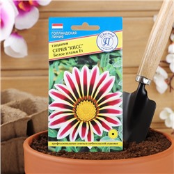 Семена цветов Гацания «Кисс» F1 Белое пламя, для балкона, веранды, цветника, однолетник, низкорослая, 5 шт.