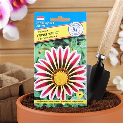 Семена цветов Гацания «Кисс» F1 Белое пламя, для балкона, веранды, цветника, однолетник, низкорослая, 5 шт.