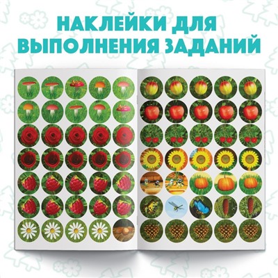 Наклейки-кружочки «Где что растёт?», 16 стр., Mашa и медвeдь
