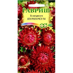 Семена Гелихризум Пурпуреум, арт.: 8407