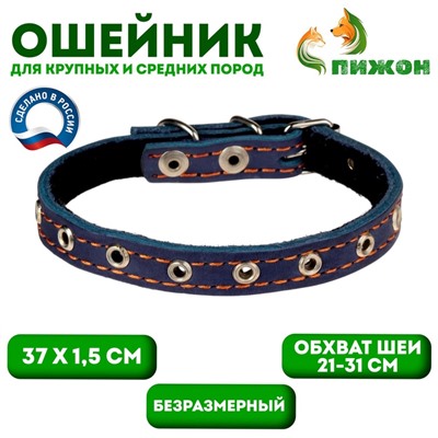 Ошейник кожаный на синтепоне, безразмерный, 37×1.5 см, ОШ 21-31 см, синий