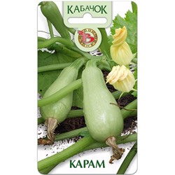 Кабачок Карам