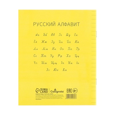 Тетрадь 12 л в линейку ЖЁЛТАЯ, пластиковая обложка, с алфавитом, блок офсет