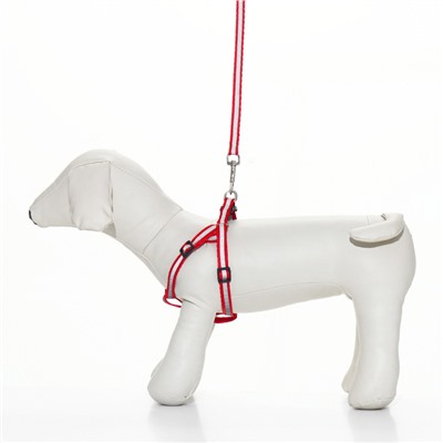 Комплект со светоотражающей лентой, ошейник 120×1 см, ОГ 26-40 см, красный