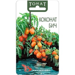 Томат Коконат Бич