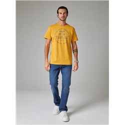 Футболка мужская арт. 02285/F5&Denim