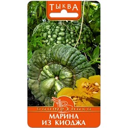 Тыква Марина из Киоджа
