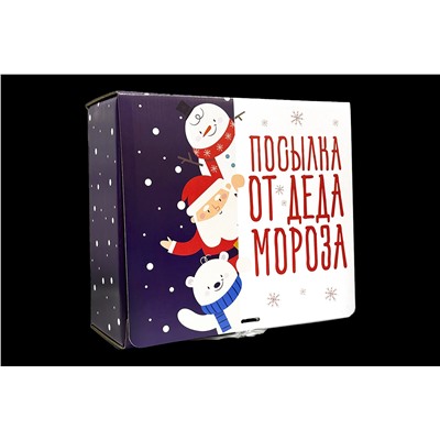 Подарочный бокс- Посылка от деда мороза.