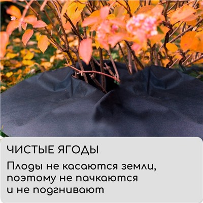 Круг приствольный, d=1 м, плотность 60 г/м², спанбонд с УФ-стабилизатором, набор 2 шт., чёрный, Greengo, Эконом 20%