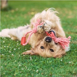 Игрушка канатная с жевательными элементами «Зубочистка», 45 см, микс цветов