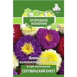 Семена Астра Сентябрьский букет помпонная, арт.: 3587
