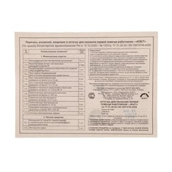 Аптечка для оказания первой помощи работникам ФЭСТ, сумка 0370/1, приказ а 262н