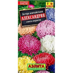 Семена Астра Александрия смесь окрасок, арт.: 72417