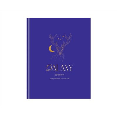 Дневник 5-11 кл. 48л. (твердый) BG "Galaxy", матовая ламинация, тиснение фольгой