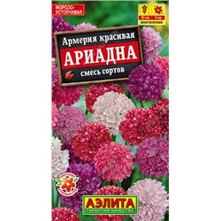 1067 Армерия Ариадна, смесь сортов 0,03гр