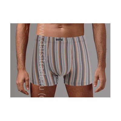 Трусы мужские GS7866 Gentlemen шорты