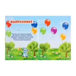 Папка «Выпускник детского сада», А4, без файлов