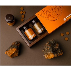 Концентрат для приготовления напитка Granday Chaga Proactive (Грандэй Чага Проактив), 3 банки по 45 табл.