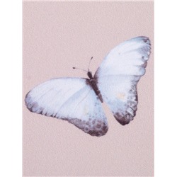 Комплект штор для кухни с подхватами Этель Butterflies, 145×180 см - 2 шт., 100% п/э