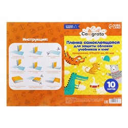 Пленка самоклеящаяся, 37 х 27 см, прозрачная, 10 листов, 50 мкм