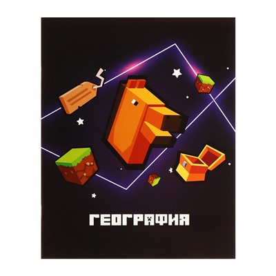 Набор предметных тетрадей А5, 36 листов Сalligrata «Пиксели», 10 предметов