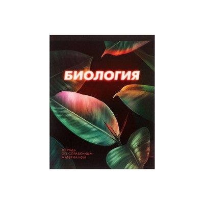 Тетрадь предметная 48 листов в клетку Calligrata «3D. Биология», серые листы