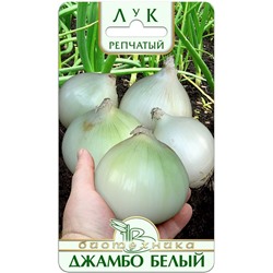 Лук репчатый Джамбо Белый