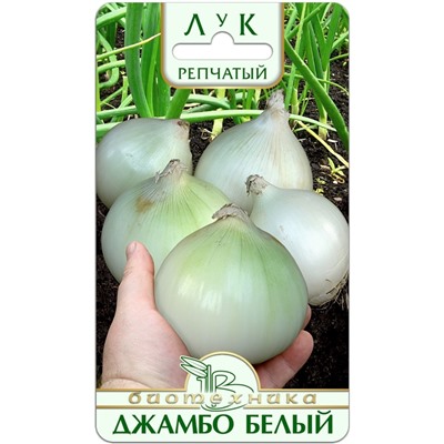Лук репчатый Джамбо Белый