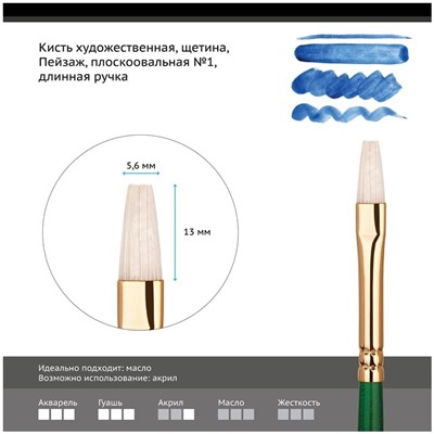 Кисть художественная щетина Гамма "Пейзаж", плоскоовальная №1, длинная ручка