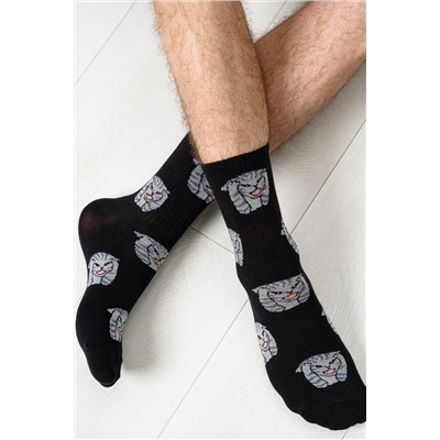 Носки мужские Драматик кот (набор 2 пары)