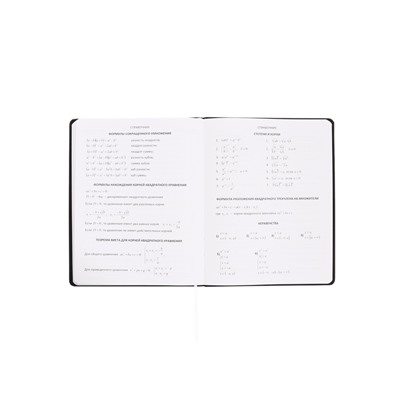 Дневник школьный для 1-11 классов, deVENTE BALANCE, искусственная кожа, шелкография