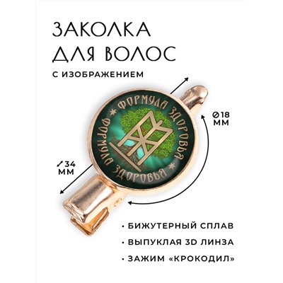 HZF-0395 Заколка Формула здоровья