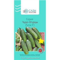 Семена Огурец Ритм F1, арт.: 3399