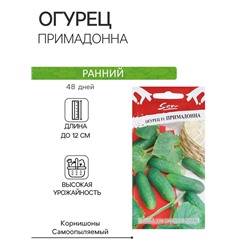 Семена Огурец "Примадонна", F1, 10 шт