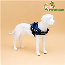 Шлейка К9 мягкая светоотражающая, размер XL, ОГ 80-95 см, вес 30-45 кг, синяя