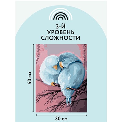 Картина по номерам на холсте ТРИ СОВЫ "Милая пара", 30*40, с акриловыми красками и кистями