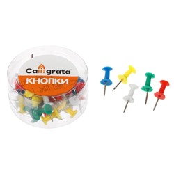 Кнопки силовые, 40 штук, в пластиковой коробке, цветные
