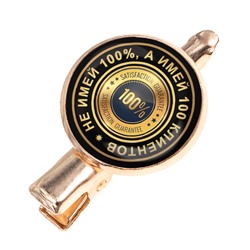 HZF-0118 Заколка Не имей  процентов