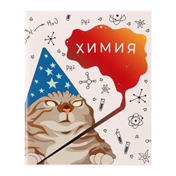 Тетрадь предметная 36 листов в клетку Calligrata «Животные мемы. Химия», обложка мелованная бумага, серые листы
