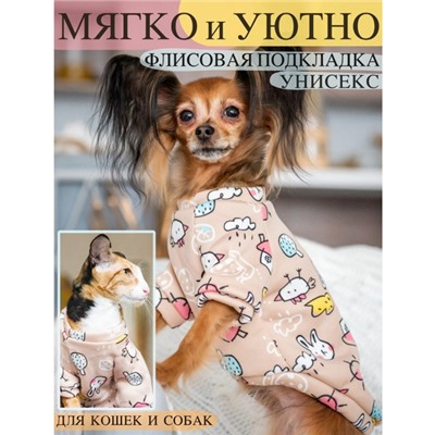 Кофта - толстовка для мелких пород собак "BRO Style", принт птички, р XL