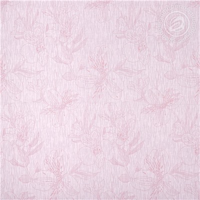 КПБ Алисия поплин Арт Дизайн