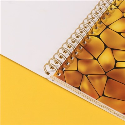 Фотоальбом на спирали 20 листов «Моё zoloto», объёмный элемент и 4 вкладки, 24×24 см