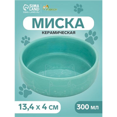 Миска керамическая "Meow" 300 мл, 13,4 x 4 cм, бирюзовая